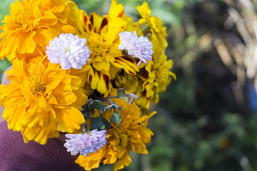 General landscape around Mt Bromo, Indonesia