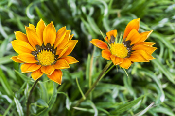 General landscape around Mt Bromo, Indonesia