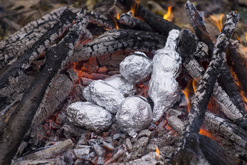 Baked potatoes wrapped with aluminum foil roasting in a bonfire.