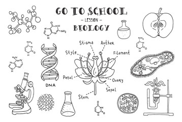 Biology. Hand sketches on the theme of biology. Vector illustration.