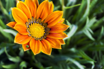 General landscape around Mt Bromo, Indonesia