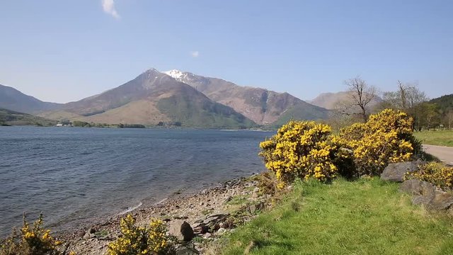 Loch Leven Lochaber Geopark Scotland uk view to Glen coe with snow toped mountains and yellow flowers and just off B863 south of Ben Nevis 