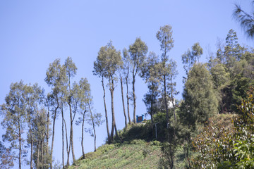 General landscape around Mt Bromo, Indonesia