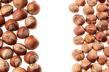 Hazelnut and kernel border on white background. Pile of selected hazel close-up. Isolated.