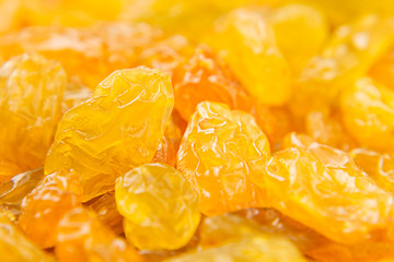 Raisins yellow closeup background. Heap of shiny golden yellow raisins dried fruit.