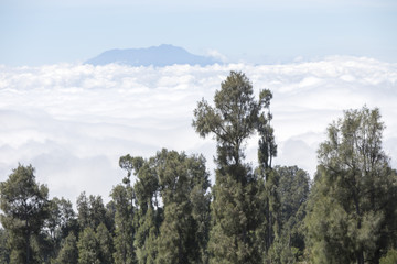 Obraz premium General landscape around Mt Bromo, Indonesia
