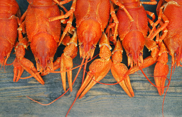 Boiled crawfish on a wooden background, close up
