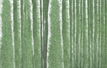Wood texture. Lining boards wall. Wooden background pattern. Showing growth rings. green color