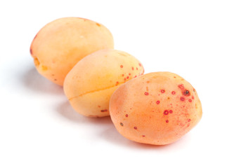 Real apricots isolated