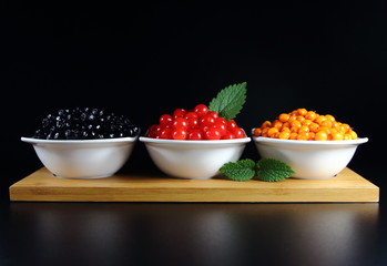 облепиха,калина,черноплодная рябина с зеленым листом на черном фоне