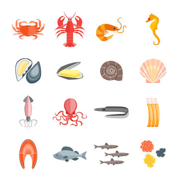 Set of Seafood. Vector