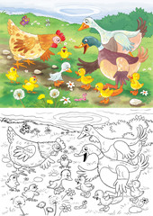 Ugly duckling. Fairy tale. Illustration for children