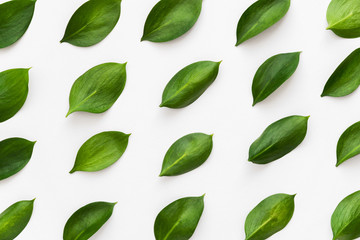flat lay of green leaves on the white desk pattern