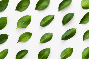 Naklejka premium flat lay of green leaves on the white desk pattern