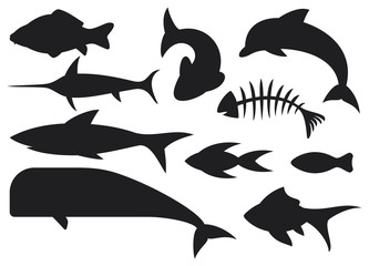 fish icons set (dolphin, carp, shark, whale, swordfish)