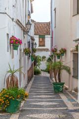 Fototapeta premium Wąska ulica w Hiszpanii