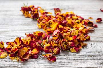 Dry petals of rose on a white background