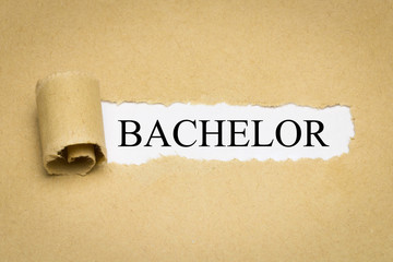 Bachelor