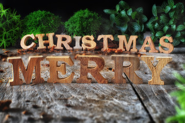 Word of Merry Christmas with plant on wooden background, nature decorative idea