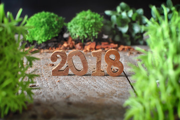 Wood number 2018 with plants on wooden background, happy new year concept and nature decorative idea