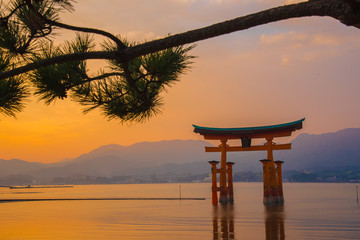 The great Torii on Miyajima island