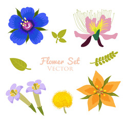 Flower Vector Set Element. Vector Collection Isolated On White Background. Beautiful Colorful Flowers Illustration Set.