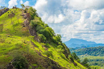 Fototapeta na wymiar Sri Lanka Countryside