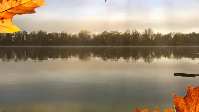 Morning fog on a calm river, tranquil scene on river, cold color toned image. Colorful reflection in water. Abstract background. 4K.