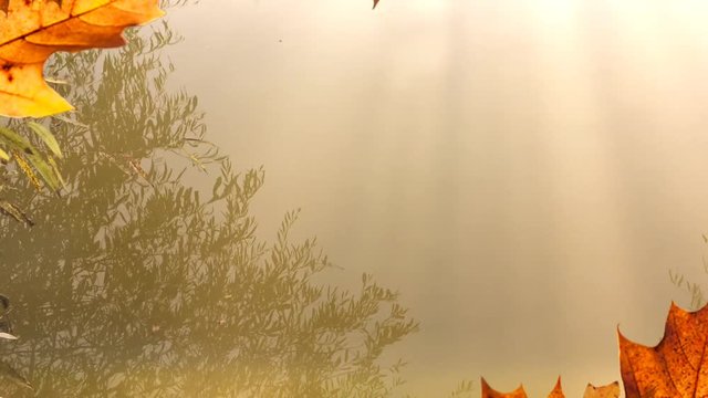 Morning fog on a calm river, tranquil scene on river, cold color toned image. Colorful reflection in water. Abstract background. 4K.