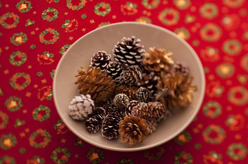 皿に入れたマツカサ