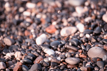 Sea pebble colorful wet background, vintage hipster image
