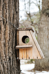 Bird house hanging from the tree with the entrance hole in the shape of a circle.