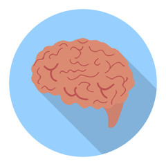 Brain long shadow flat icon. Human brain vector illustration.