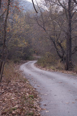 Δρόμος στο Πουθενά