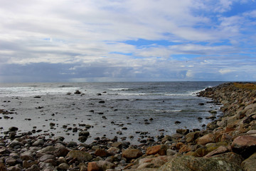 Fototapeta na wymiar Coastline in the North Sea