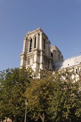 Cathédrale Notre-Dame de Paris