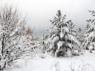 Hiver en Russie © yahant333