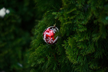 Christmas tree toy