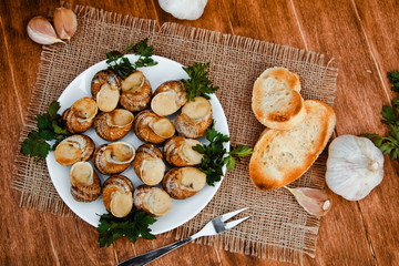 Escargots de Bourgogne - Snails with herbs butter, gourmet dish in French traditional  with parsley and bread on white platter