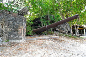 Artillery left over from World War II on the island of Saipan. Older Japanese guns on the island of...
