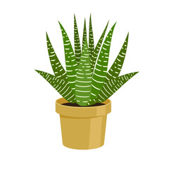 Vector illustration cactus.