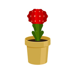 Vector illustration cactus.