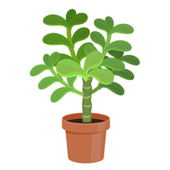 Vector illustration cactus.