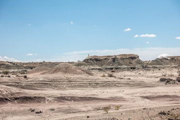 Guanaco auf einem Hügel im Ischigualasto Provincial Park