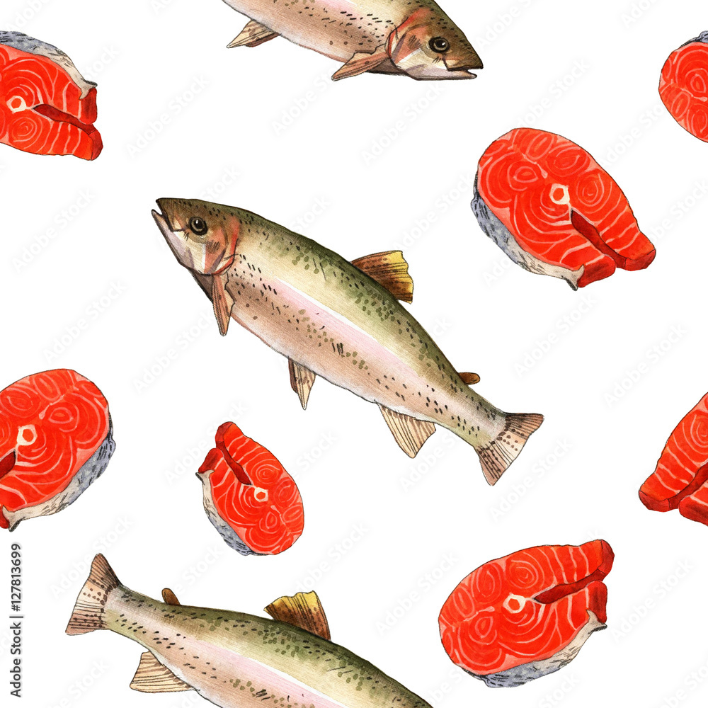 Wall mural Sea trout fish. Handmade watercolor painting illustration on a white paper art background