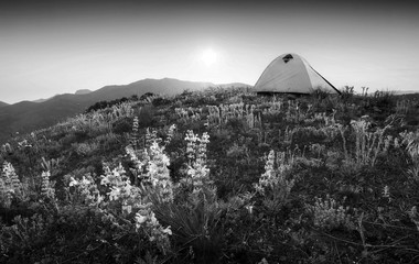 Travel tent on a mountain. Monochrome colors
