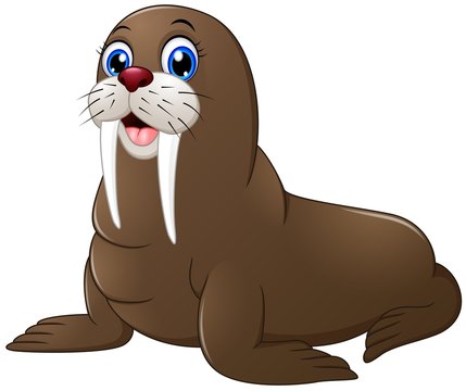 Walrus Cartoon Images – Browse 9,596 Stock Photos, Vectors, and Video |  Adobe Stock
