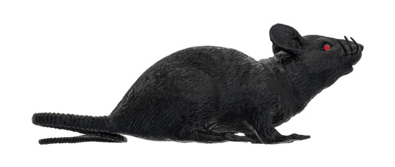 Black plastic toy rat on a white background side view.