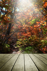 Naklejka na ściany i meble Wooden empty and blur autumn background.