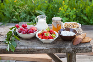 summer breakfast in a garden - cottage cheese, strawberry, muesli and milk. selective focus. style rustic